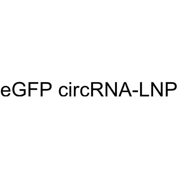eGFP circRNA-LNP